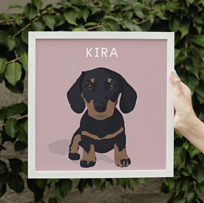 Ilustración Digital de mascotas